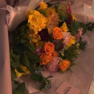 星空体育APP手机app下载